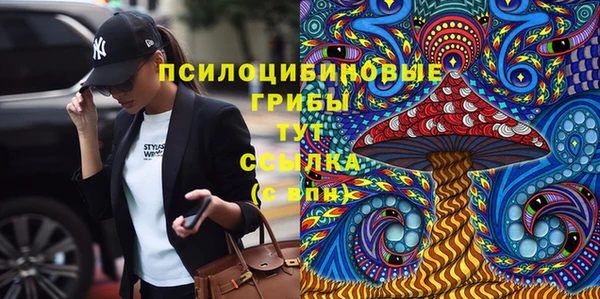 кокс Богородицк