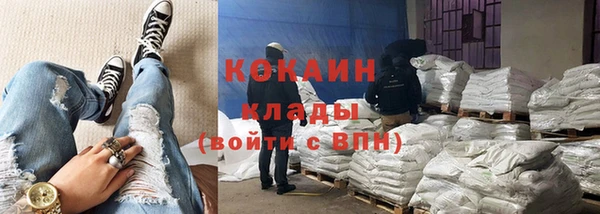 кокс Богородицк