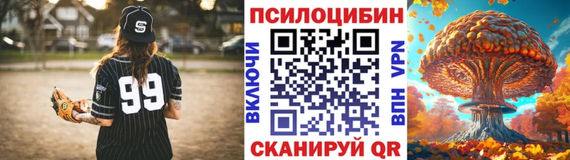 дарнет шоп  Наро-Фоминск  Псилоцибиновые грибы GOLDEN TEACHER 